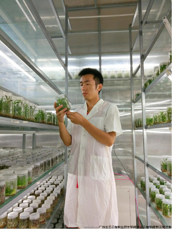 第十届全国农村青年致富带头人——涂湘炎.png 第十届全国农村青年致富带头人——涂湘炎.png