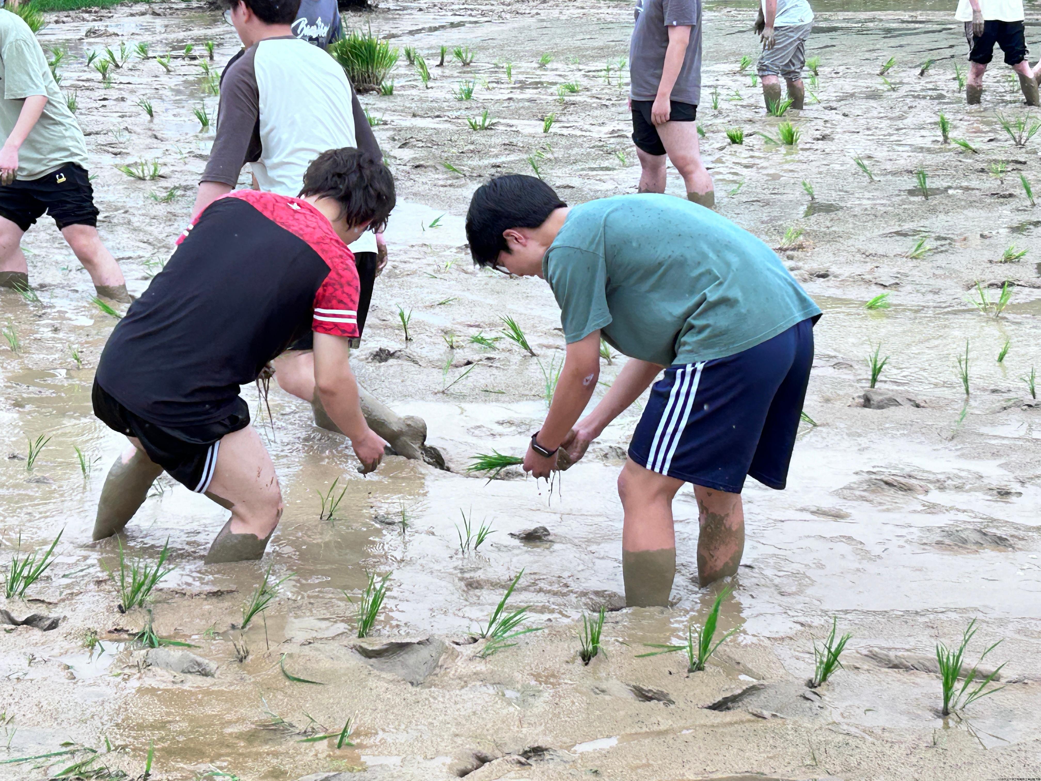 微信图片_20240520101729.jpg 微信图片_20240520101729.jpg