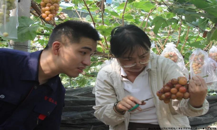 44444.webp.jpg 44444.webp.jpg