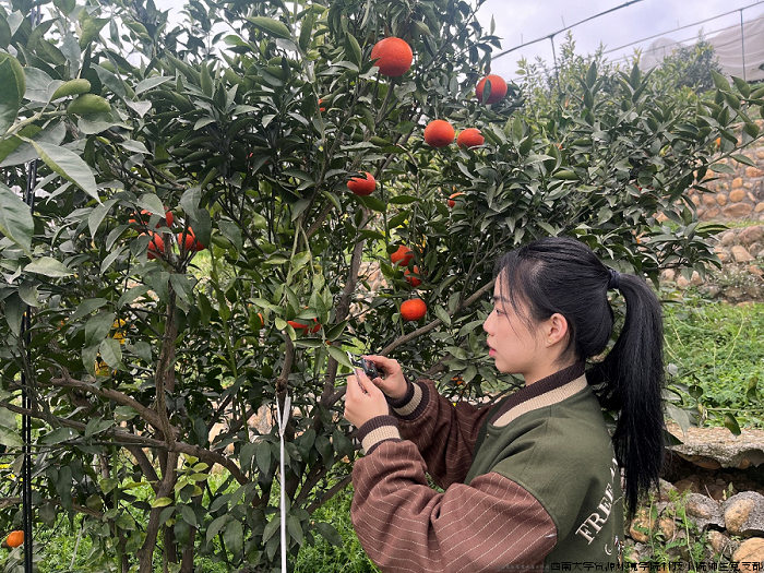 tuiwen.png tuiwen.png