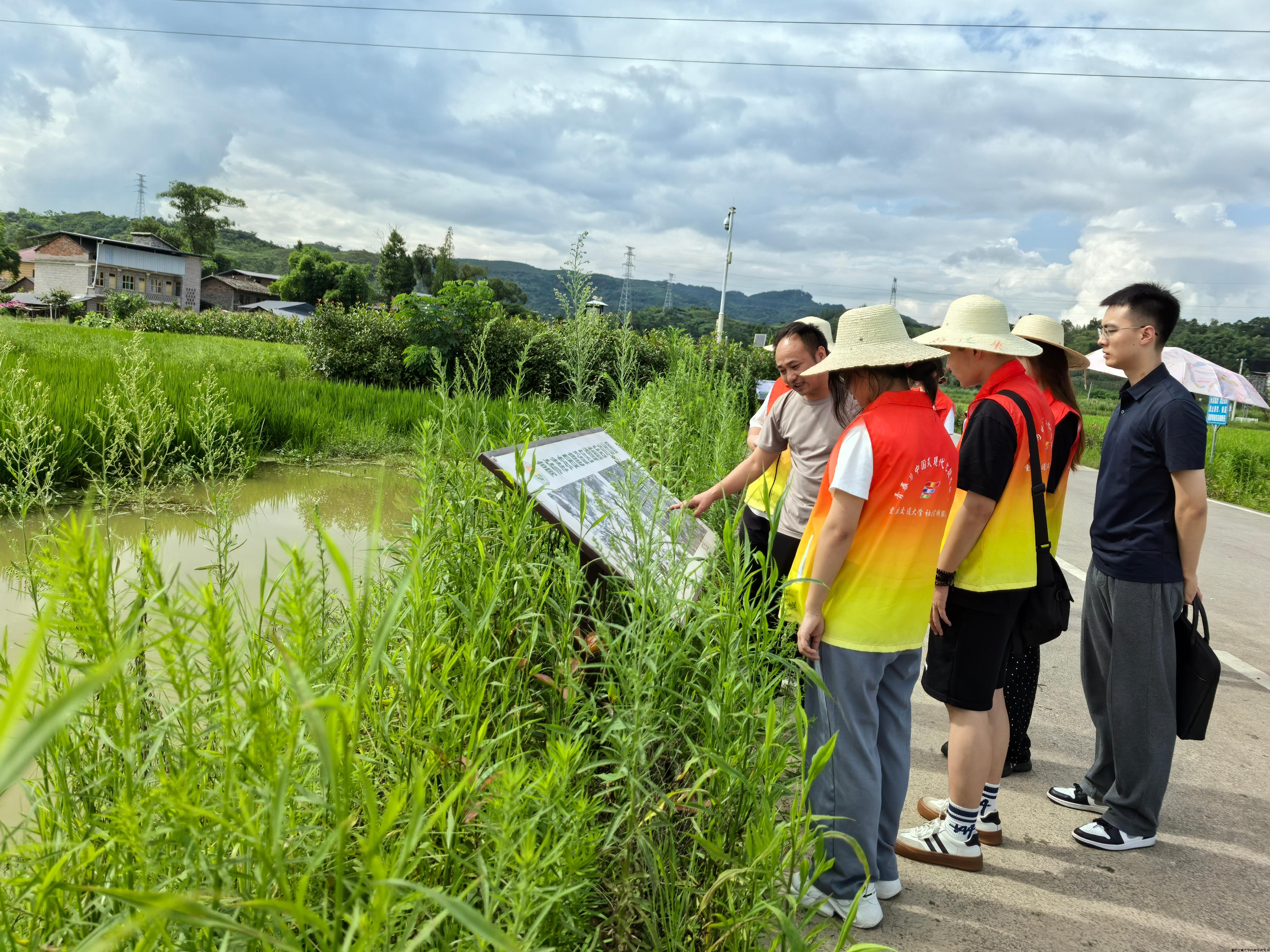 插图3.jpg 插图3.jpg