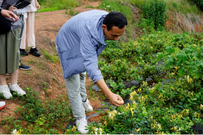 a081f57021c33a9a5ec1d94fa010fa4.png a081f57021c33a9a5ec1d94fa010fa4.png