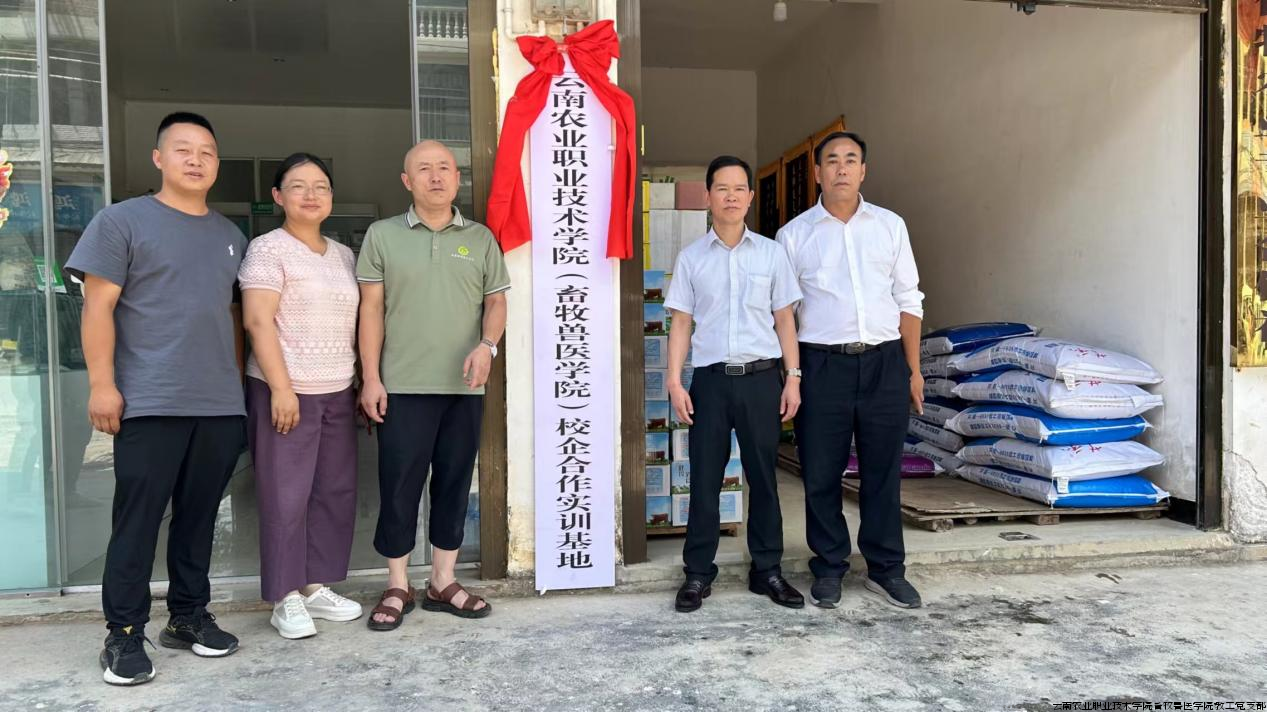 图片3.png 图片3.png