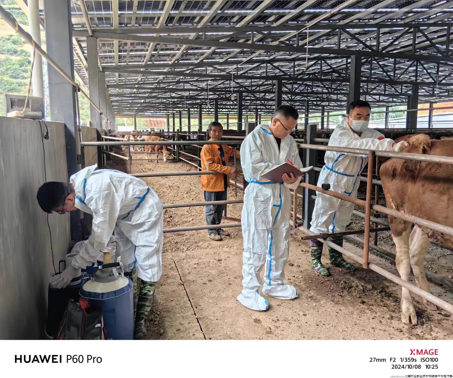 胚胎移植现场(二).jpg 胚胎移植现场(二).jpg