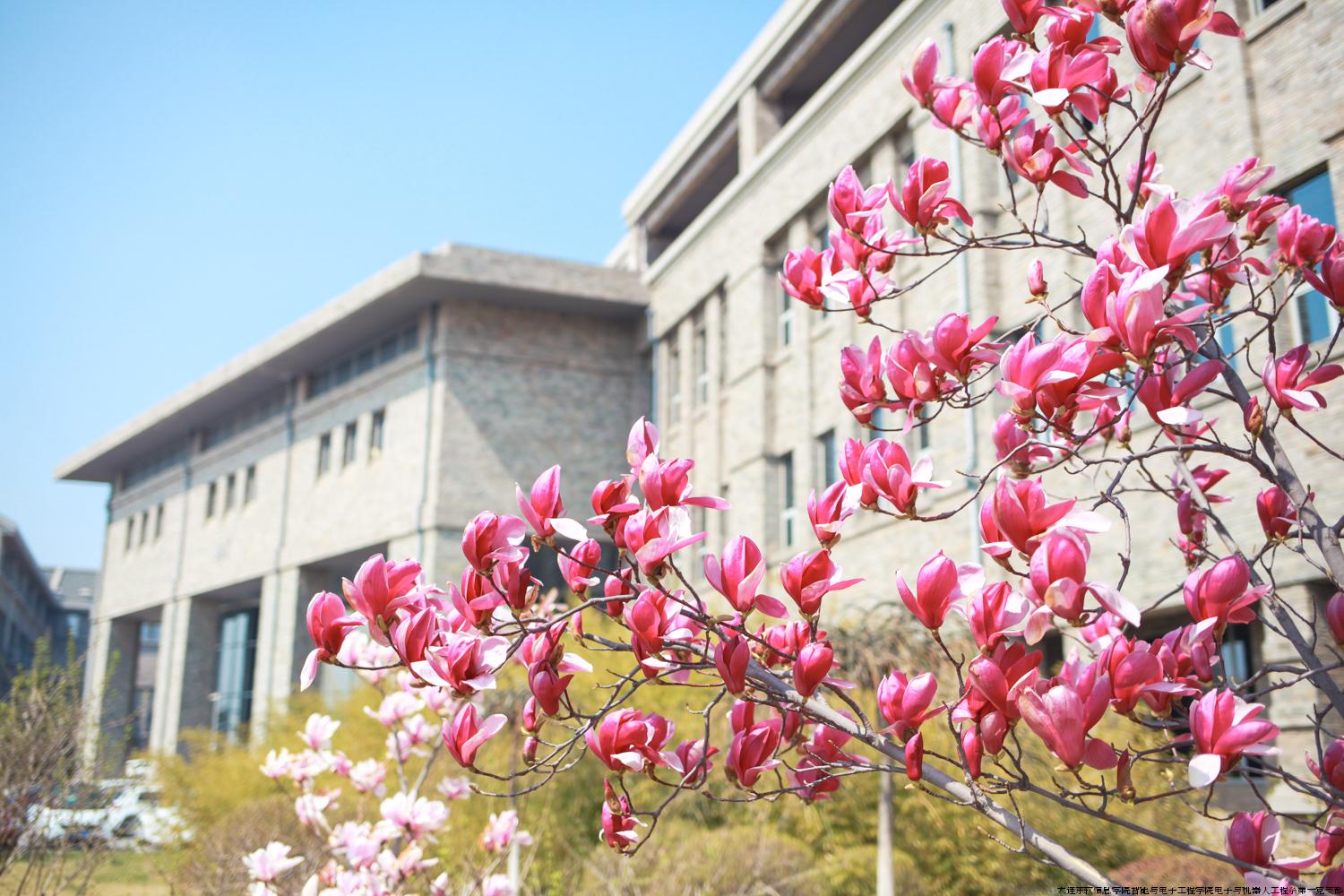 1 (18).jpg 1 (18).jpg