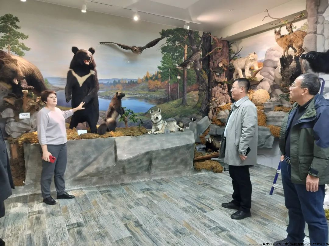 图片4.png 图片4.png