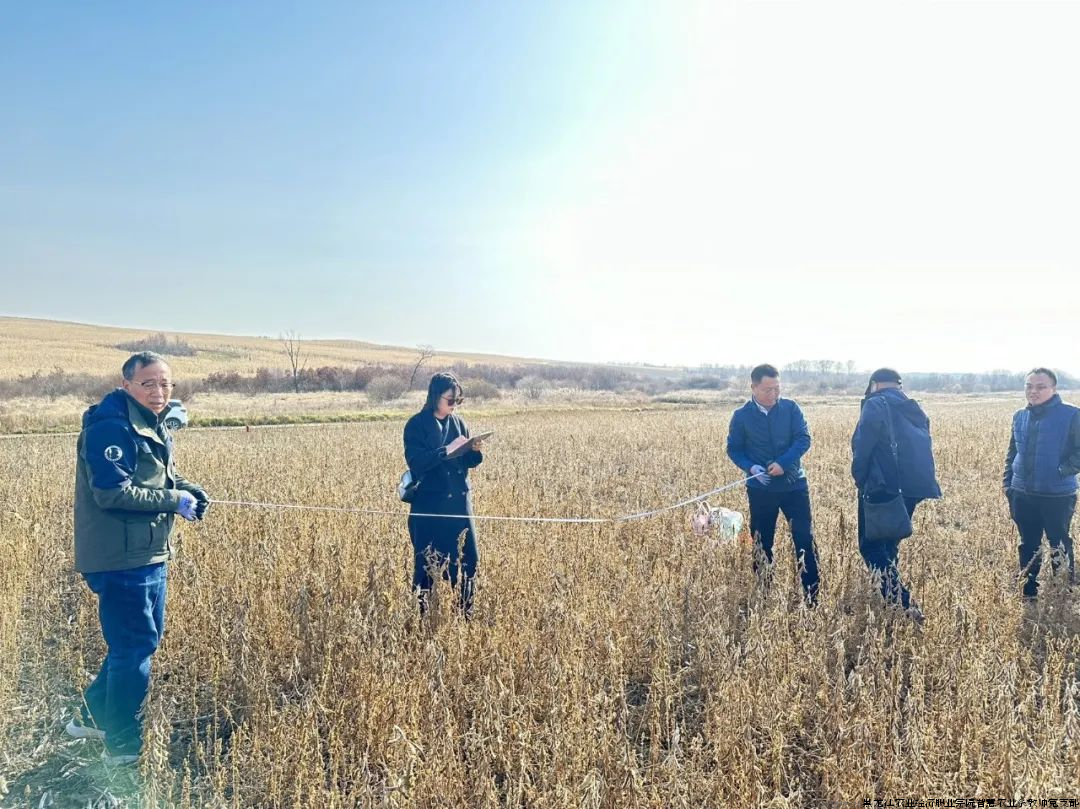 图片6.png 图片6.png