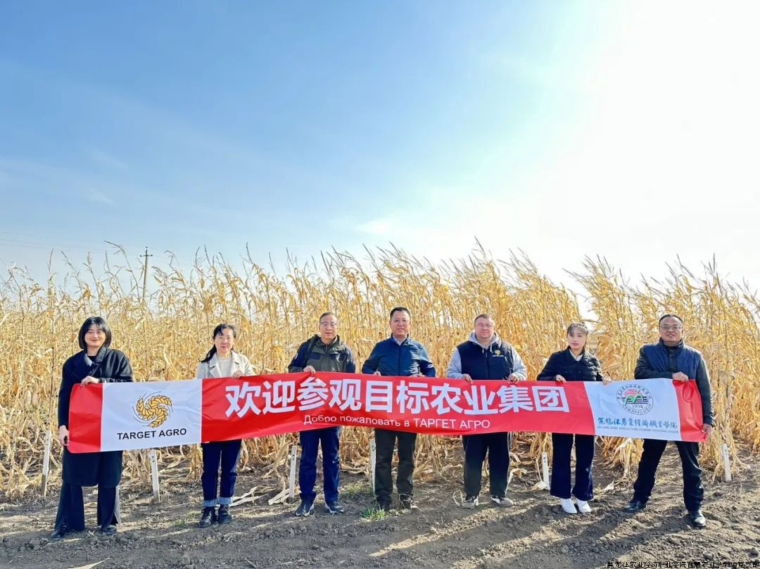 图片7.png 图片7.png