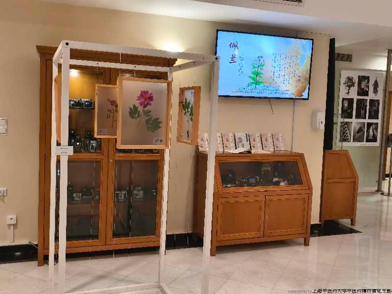 013a42ad-53fc-4859-83ed-3b431ec91047.jpg 013a42ad-53fc-4859-83ed-3b431ec91047.jpg