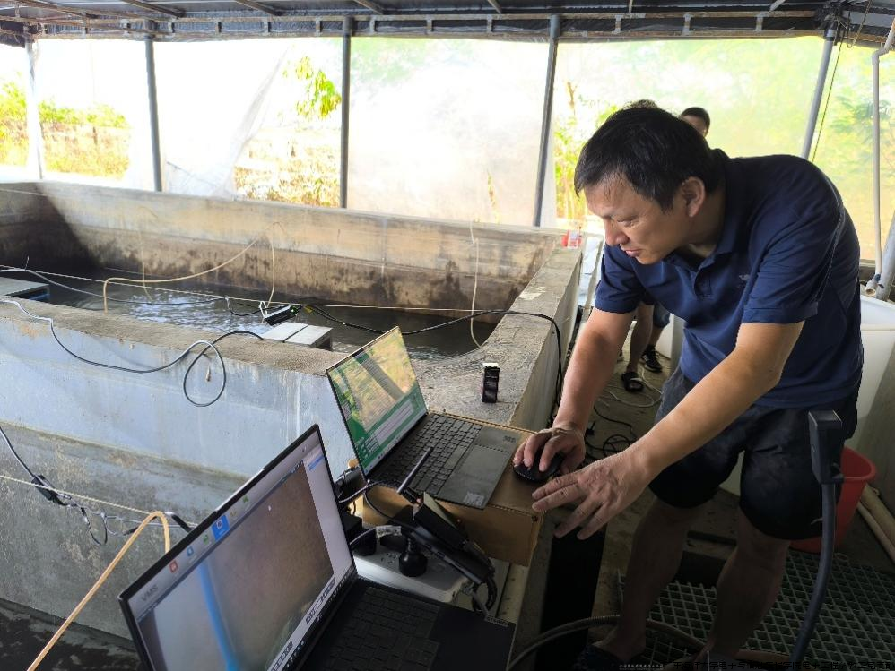 图1 王峰老师调试鱼类标签监控识别设备 图1 王峰老师调试鱼类标签监控识别设备