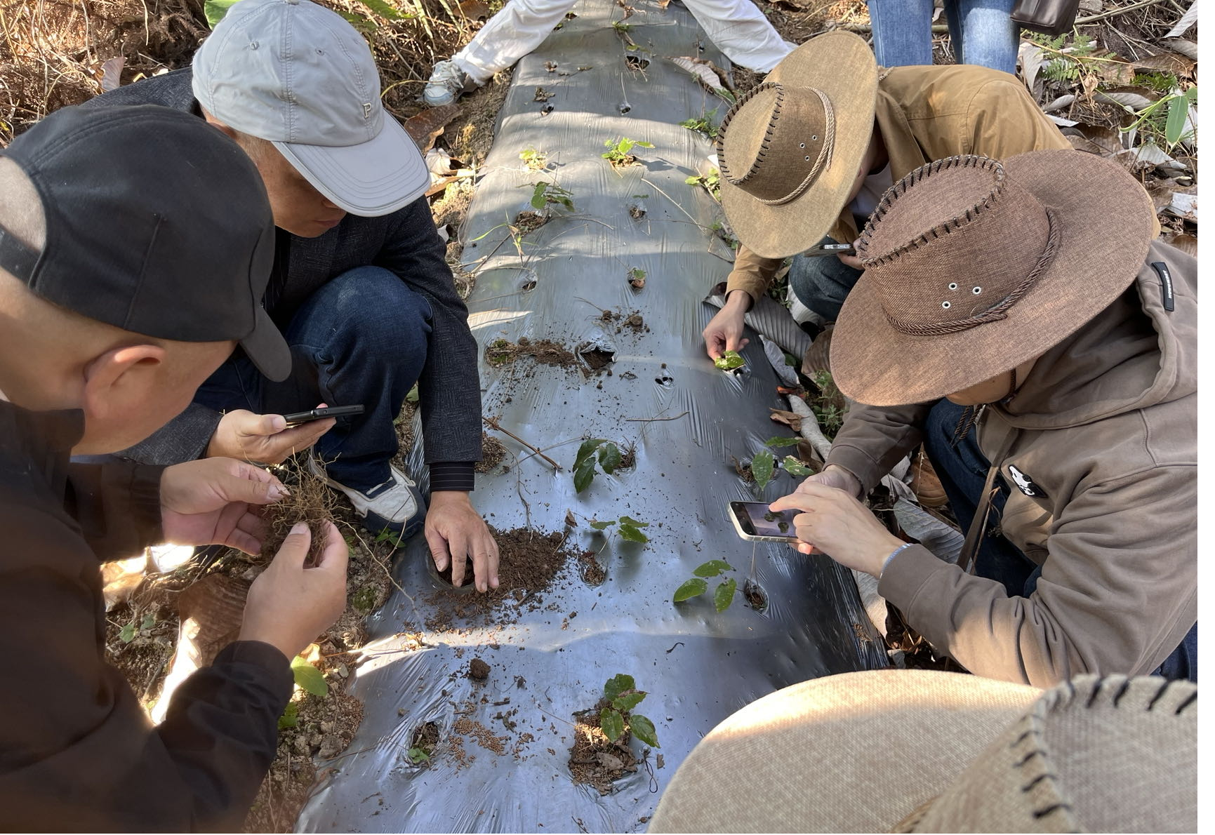 珍稀兰花创新实践4