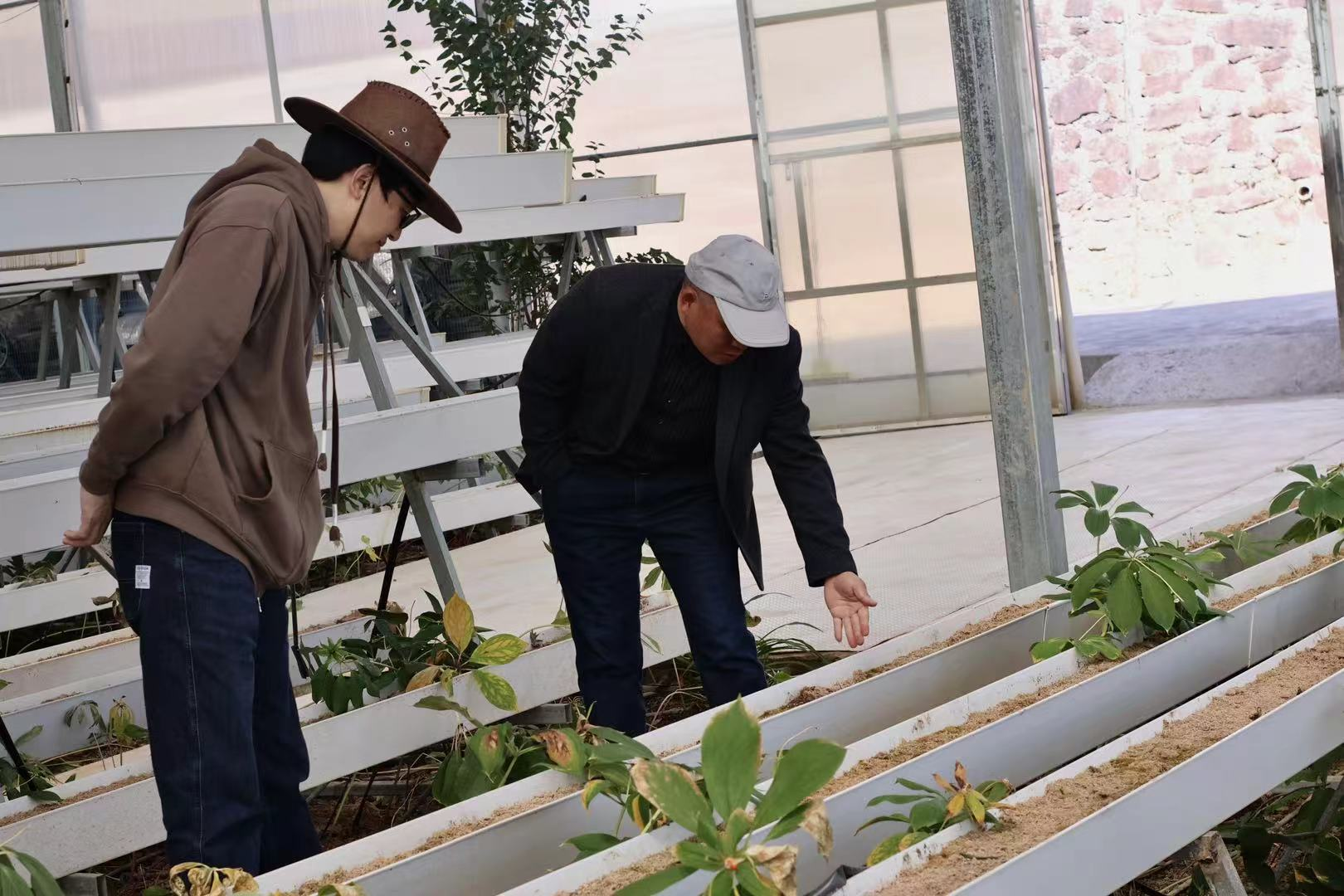 珍稀兰花创新实践2