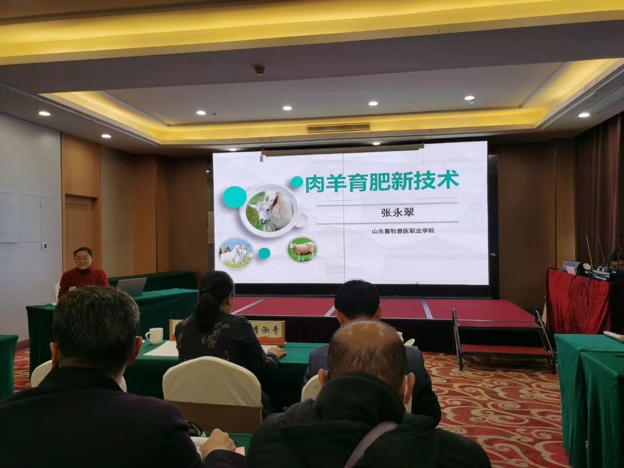 微信图片_20241210085755