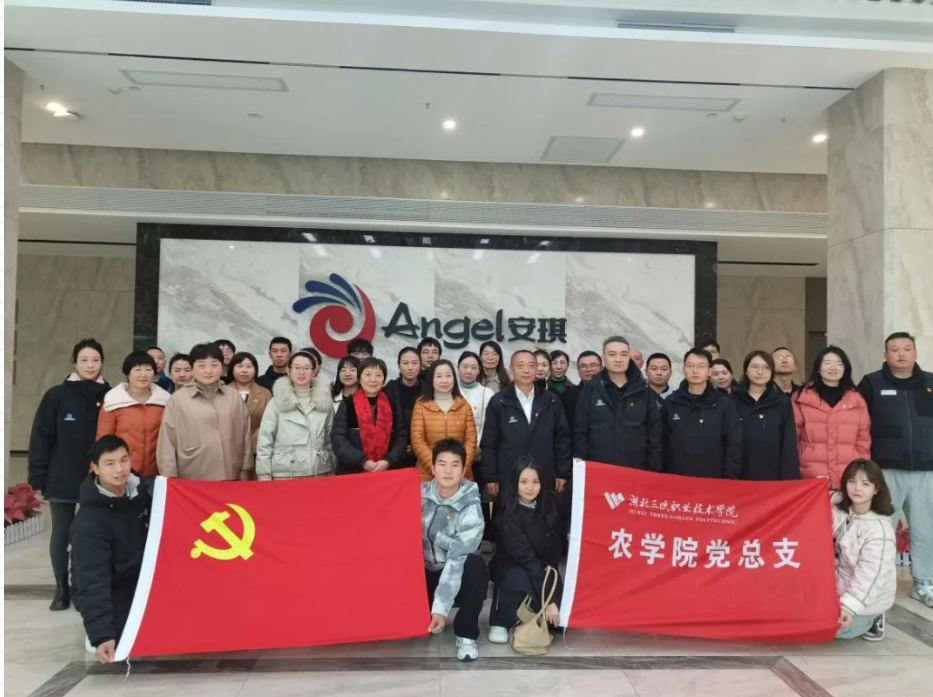 c8f81837-fd3f-40e3-9721-965e0d9d2281