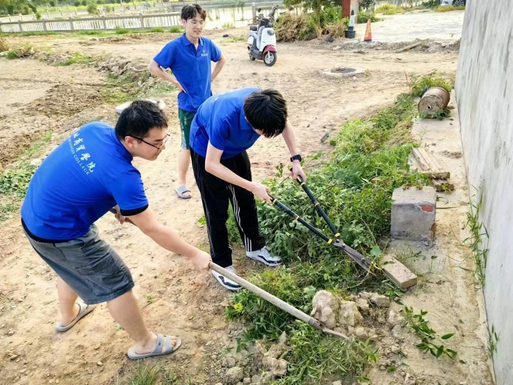 14645c56-f023-40e4-8cff-dd919503a630