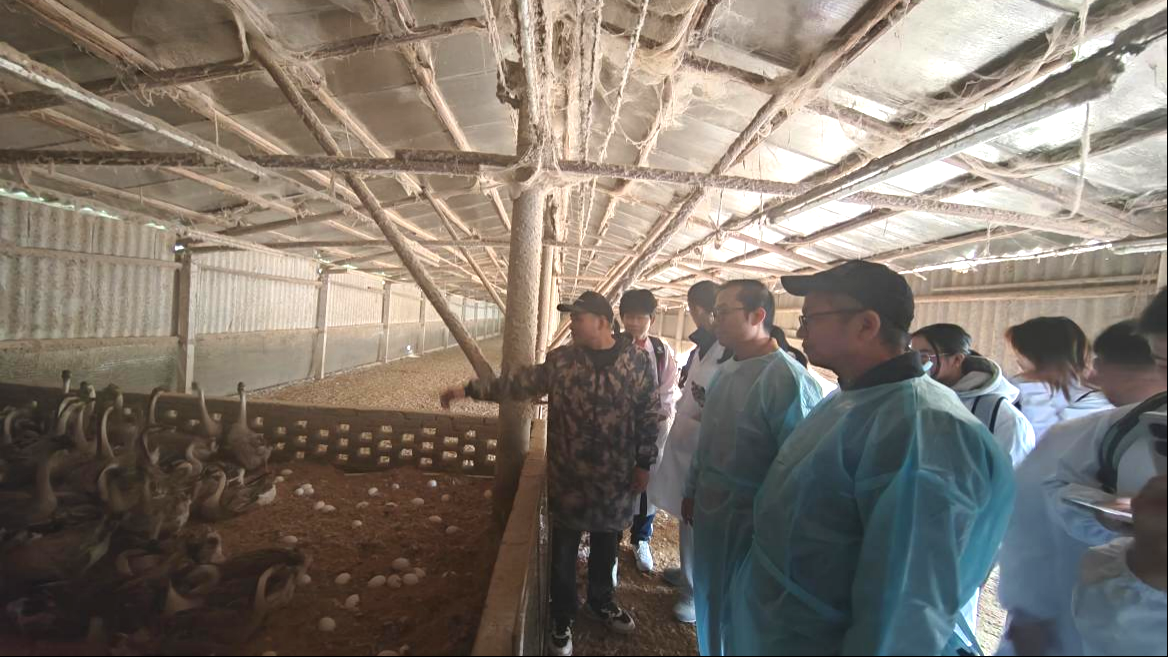 15317186a0294b725719b425d51faa4