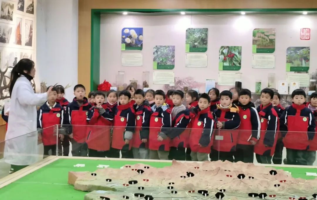 2024.12兴华苑小学参观图片4