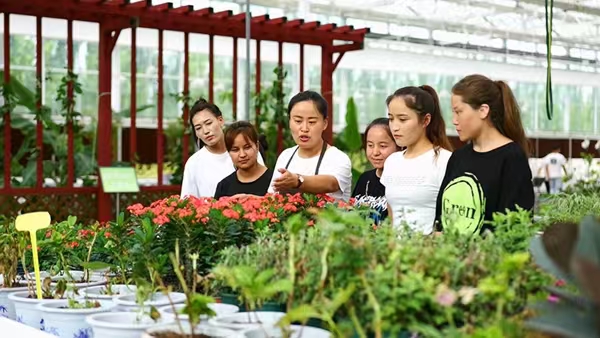 阿职院的园艺基地