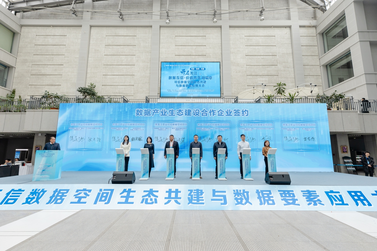 共建可信数据空间 打造龙江数字经济发展新引擎 p8