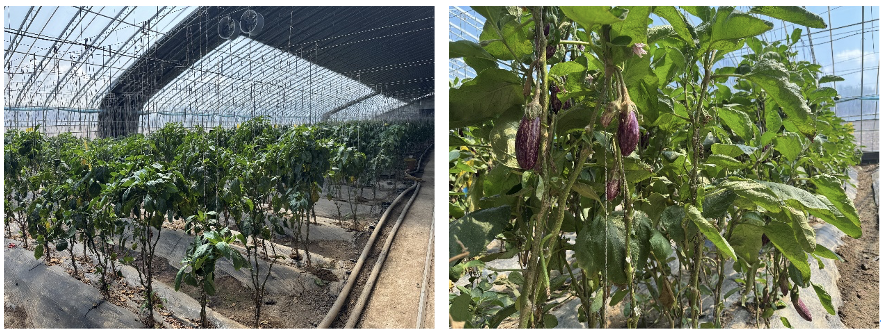 截屏2025-04-22 09.06.59