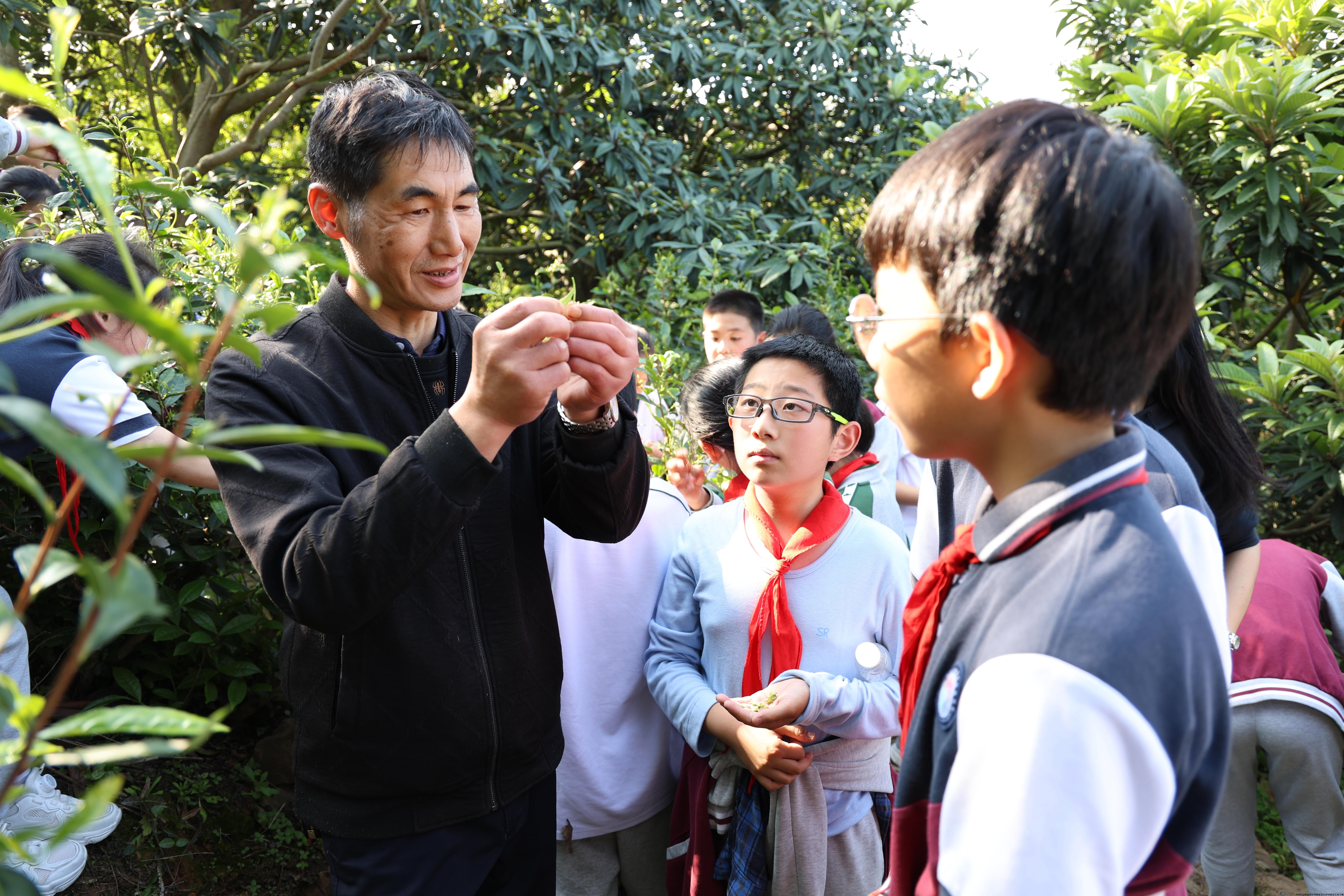 国家制茶非遗大师施跃文给莲花学校小学生讲茶的故事.jpg