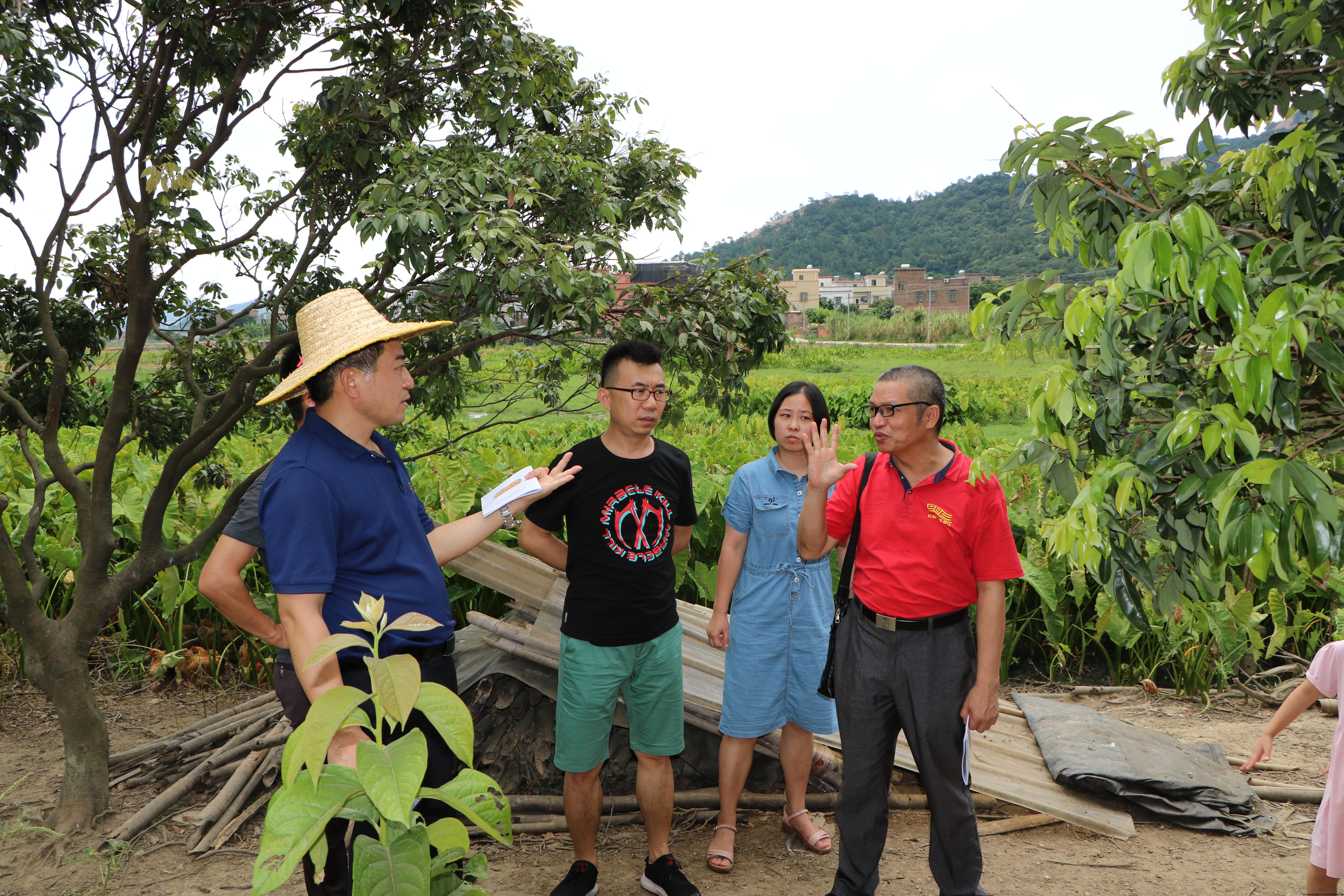 农村科技特派员团队与佛岗县白沙塘村第一书记交流精准扶贫农技需求情况.JPG