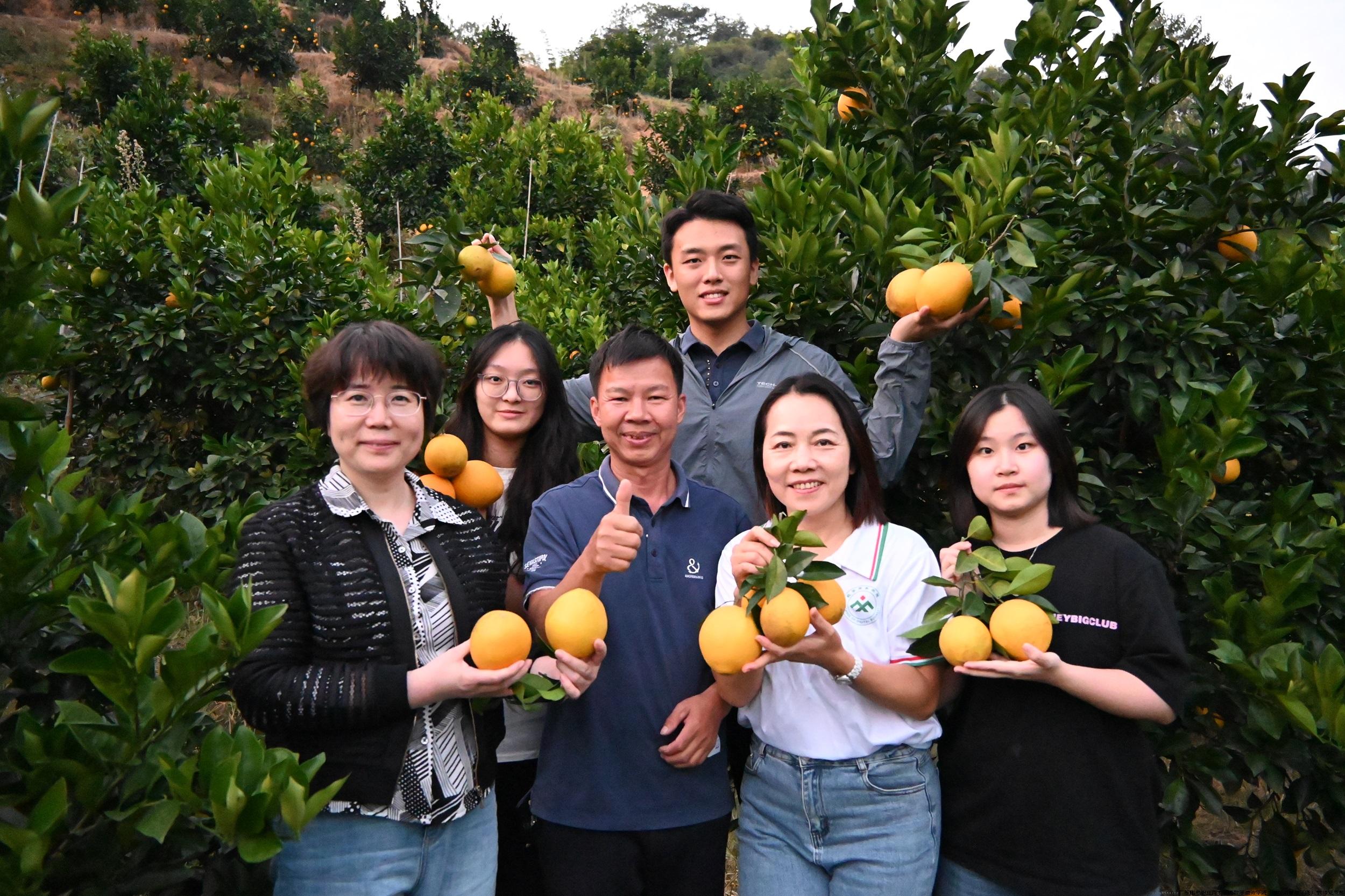 1脐橙园调研