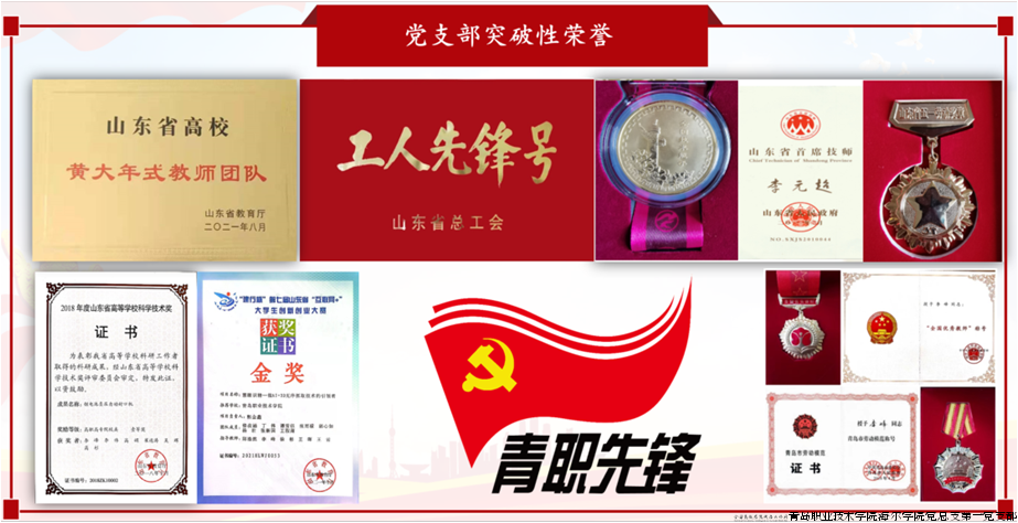 图8 党支部典型性荣誉